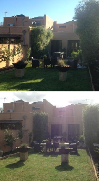 Lawn mowing & hedging in Unley - before & after