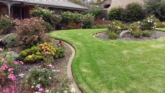 One of my well maintained gardens and lawns in Aldinga Beach