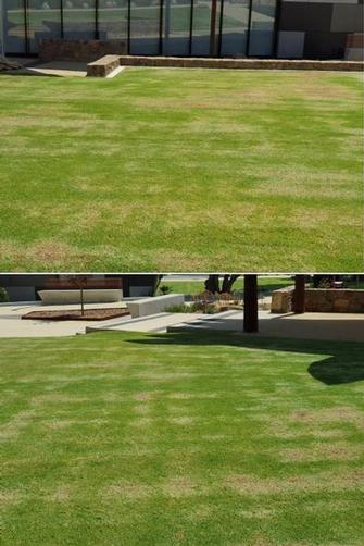 Council Chambers & local entertainment hub of Margaret River - We dethatched the lawn here mid Summer to prepare for Winter to minimise the chance of disease.