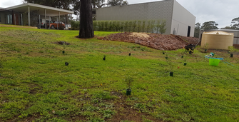 Native Tree Planting for a Winery near Margaret River & Witchcliffe