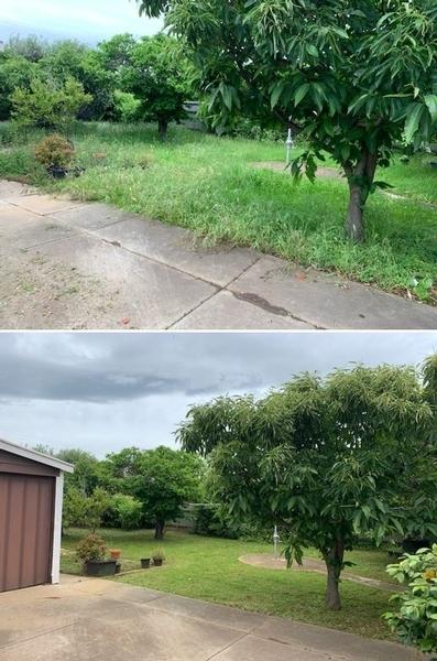 Lawn mowing - before & after - What a difference!