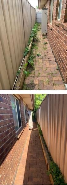 Weed maintenance - before & after