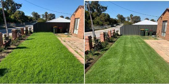Lawn mowing in Woodvale - before & after