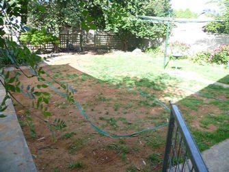 Lawn in Mount Barker - Before #1 - This unlucky customer in Mount Barker was renting out this property and unfortunately it was neglected by the tenant.
The degredation in the lawn was appaling as the tenant kept a number of pets that destroyed the lawn and young fruit trees.