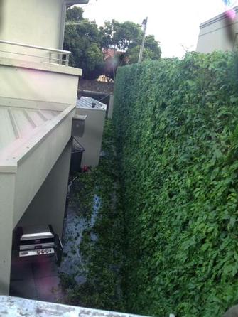 Hedge trimmimg in Toorak 1 - Starting to come together now.