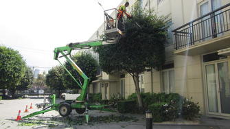 Quest Apartments hedge trimming - Elevated work platform for hedge trimming in South Yarra.