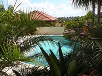 Pool - A tropical oasis made possible by the right plants.