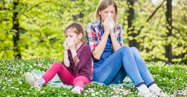 4 spring cleaning tips to ease allergies