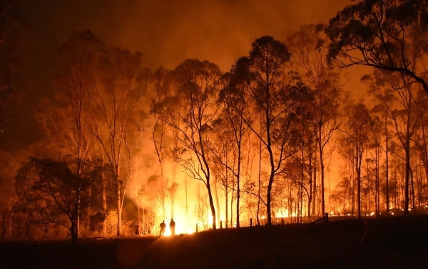 Summer's Coming Fast - Are You Bushfire Ready?