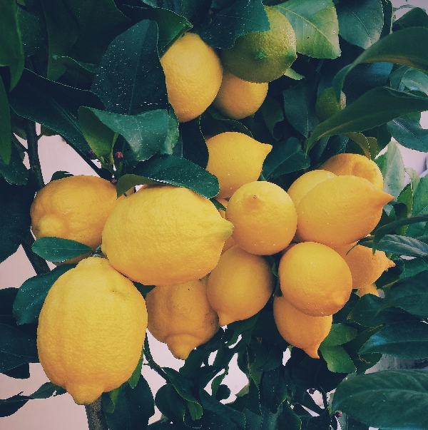 When Life Gives You Lemons, Make Lemonade!