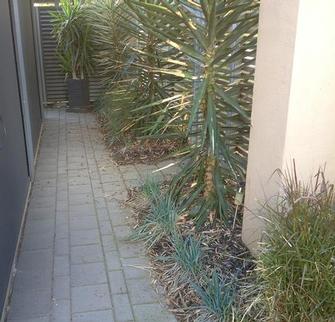 Landscaping in Underdale #1 - Before