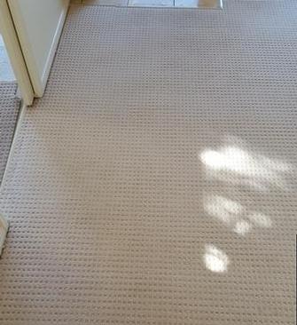 Belmont , Brisbane - The after picture of carpet cleaned using the V.I.P. Home Services Carpet Cleaning Service, that had been cleaned 3 days previously by another carpet cleaner. You can easily notice the difference.