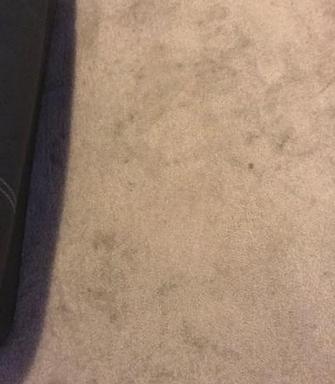Toowong, Brisbane - Before picture of staining in lounge room