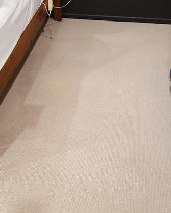 Coorparoo, Brisbane - Vomit stain after cleaning using the V.I.P. Home Services Carpet Cleaning Service.