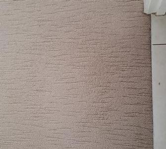 Mitchelton, Brisbane - After picture of spilt degreaser cleaning solution removed from carpet.