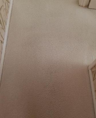Bracken Ridge, Brisbane - After picture of hallway in Bracken Ridge, Brisbane after cleaning with the V.I.P. Home Services Carpet Cleaning Service.