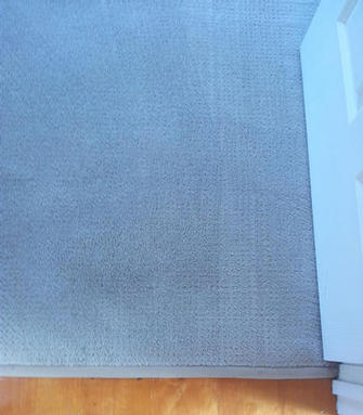 Carpet in rental property at Auchenflower, Brisbane - Carpet in rental property at Auchenflower , Brisbane , after the V.I.P. Home Services Carpet Cleaning Service