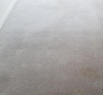 Bowen Hills, Brisbane - Picture of badly stained wool carpet in Bowen Hills, Brisbane, after cleaning with the V.I.P. Home Services Carpet Cleaning Service. 