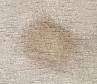 Mitchelton, Brisbane - Before picture of cleaning degreaser solution spilt on carpet