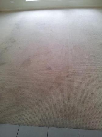 Before photo of rental property in Taringa, Brisbane