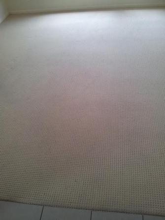 After photo of rental property in Taringa, Brisbane - After photo of rental property in Taringa, Brisbane after using the V.I.P. Home Services carpet cleaning service