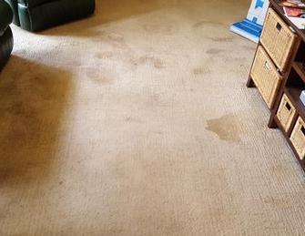 Coorparoo, Brisbane - Before picture of lounge room in Coorparoo, Brisbane