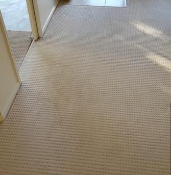 Belmont, Brisbane - This carpet had been cleaned by another carpet cleaner 3 days ago. The property manager asked me to reclean it. Check out how much better it looks in the next picture using the V.I.P. Home Services Carpet Cleaning Service