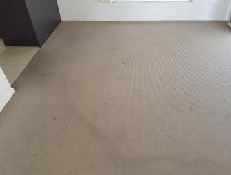 Annerley, Brisbane - This carpet in Annerley had apparently been cleaned the day prior to me being asked to reclean. The company that undertook the job would not go back and clean properly. Check out the next picture to see the difference.