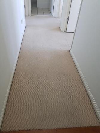 After photo of carpet cleaning at rental property in Northgate, Brisbane.