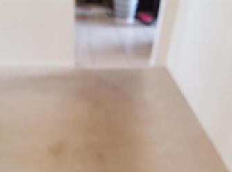 Calamvale, Brisbane - Before photo lounge room, Calamvale, Brisbane