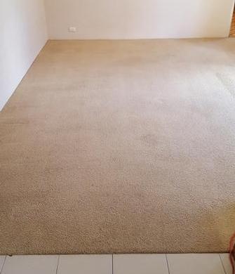 Ascot, Brisbane - Picture of rental property in Ascot, Brisbane , after cleaning using the V.I.P. Home Services Carpet Cleaning Service.