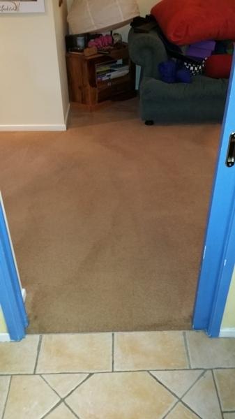 Carpet in Chapel Hill, Brisbane - after - Picture after cleaning in Chapel Hill, Brisbane using the V.I.P. Home Services Carpet Cleaning Service.