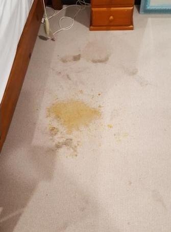 Coorparoo, Brisbane - Vomit stain before cleaning