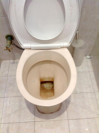 Toilet in Applecross - Before
