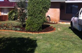 After Mulching in BEDFORD - This is a small Mulching job I did in BEDFORD.
Mulching your gardens is very important. Mulching adds organic material to the soil and retains moisture, which is especially important for Perth's sandy soil and hot summer. Mulch also suppresses weeds and moderates soil-temperature fluctuation, keeping your soil cooler in summer and warmer in winter. Mulch also adds instant street appeal to any property. Which is not only useful for the proud gardener but extremely important if you are renting or selling your property.
