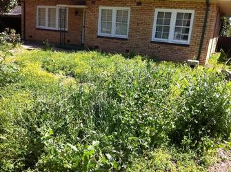 Landscaping Before (1) - The customer was looking to have a pretty front garden with a Rose bed