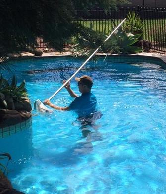 Going above and beyond for a regular client. - This job required trimming of very large Agaves which could only be done from in the pool. I also used the pool scoop to clean up some of the mess in the water.