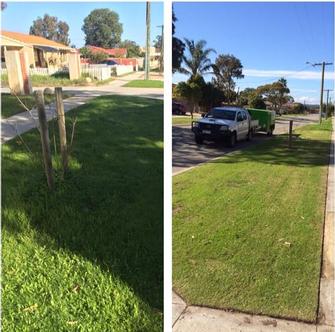 Lawn Mowing Front Verge - MIDLAND