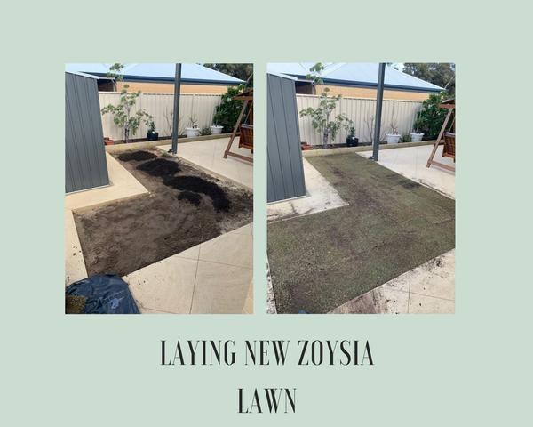 Lay new lawn - MIDLAND