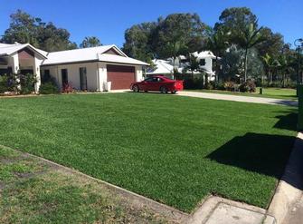 Sir Walter Lawn - The new lawn, in Sir Walter.&nbsp; VIP Lawns and Gardens Hervey Bay dont just cut grass, we install it too.
