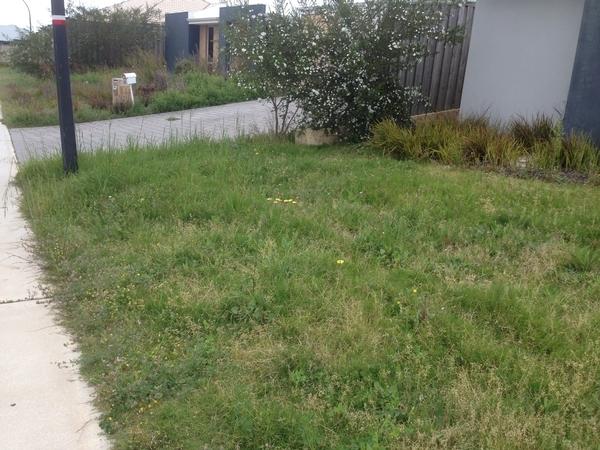 Before & after mowing. Ellenbrook