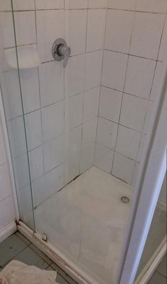 Shower clean before