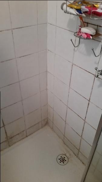 Shower clean before