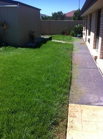 Seaford Meadows Lawn before mowing