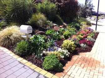 Aldinga Garden - The magic of mushroom compost! This garden started from nothing a year ago and is now the feature garden of the street!