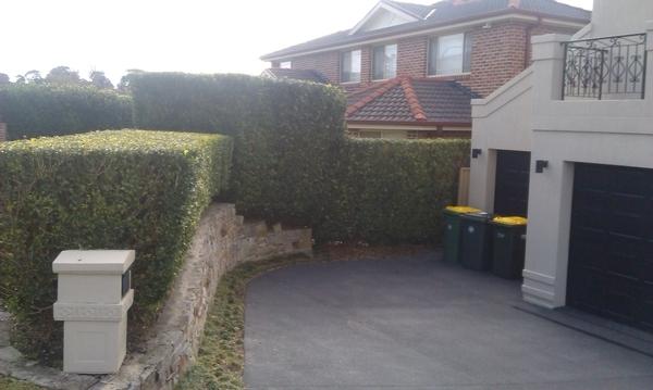 Hedging 3