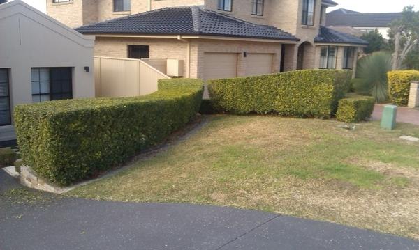 Hedging 2