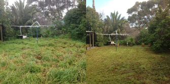 Lawn Mowing before & after