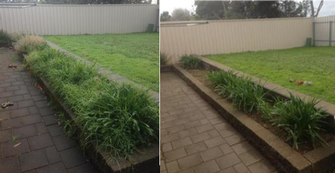 Weeding before & after