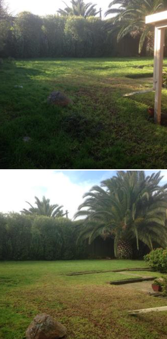 Lawn Mowing before & after
